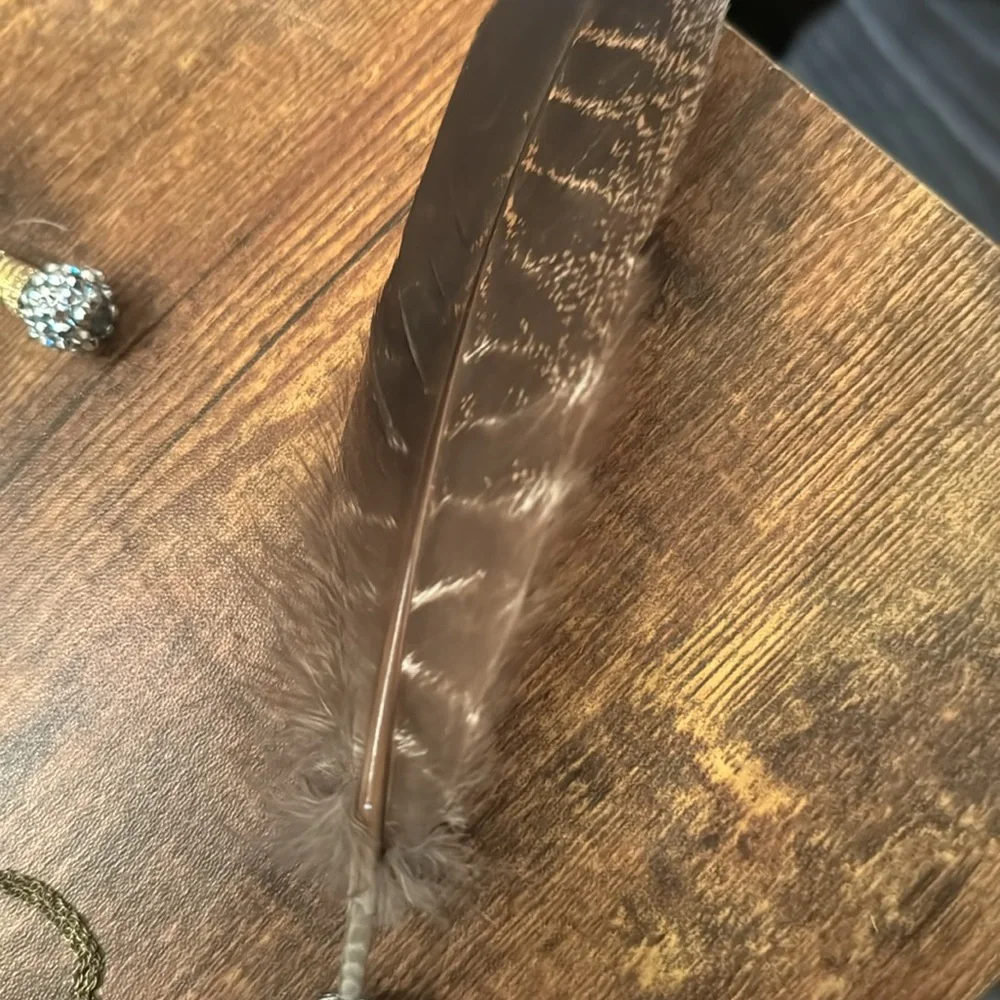 Beautiful hat feathers, decorative feathers, gifts, feathers, rhinestones - Picture 4 of 16